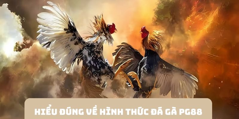 Những điểm nổi bật thu hút game thủ tới sảnh đá gà PG88