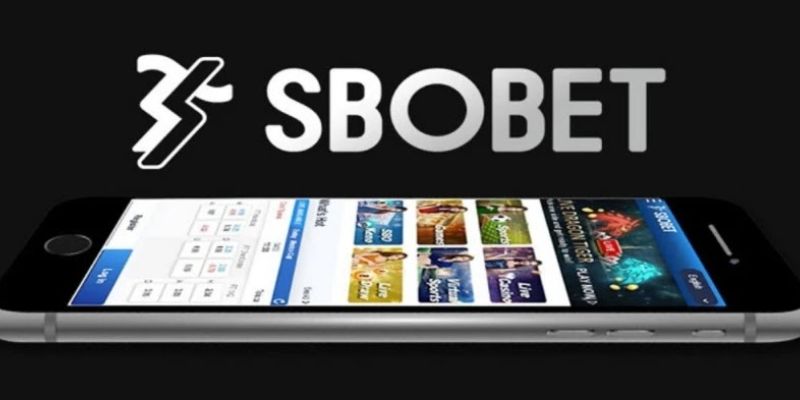 Những lợi thế giúp sảnh cược Sbobet tại pg88 ngày càng được yêu thích